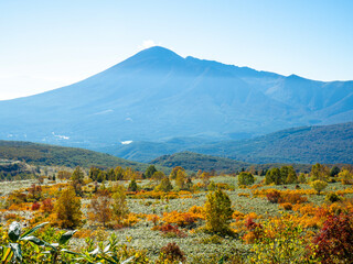 秋の八幡平（秋田県仙北市）