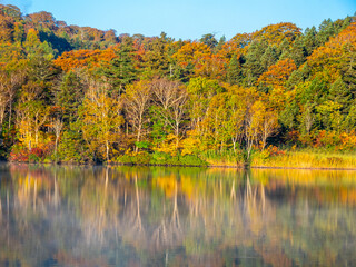 早朝の八幡平大沼（秋田県鹿角市）