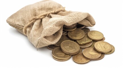 Money coins in bag isolated on white