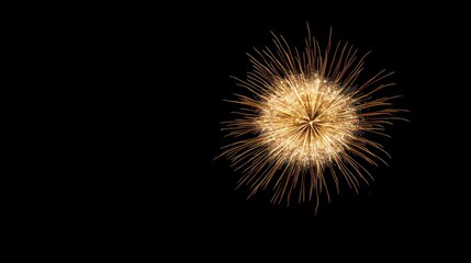 Fototapeta premium Golden Fireworks Display