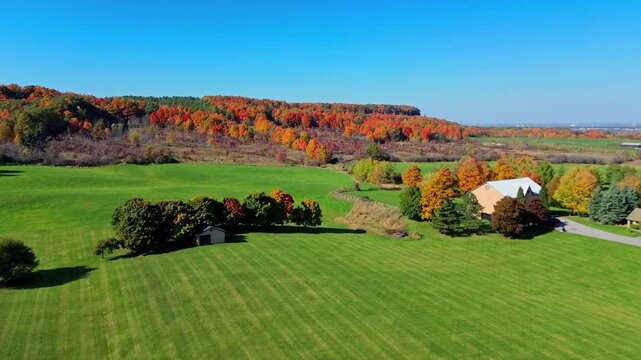 4K top-down cinematic drone shot flying above forest and farmland alongside forest path road carved through colorful maple trees of autumn, with city downtown skyline in view, Ontario Canada