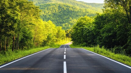 Fototapeta premium Asphalt Road Through Green Forest
