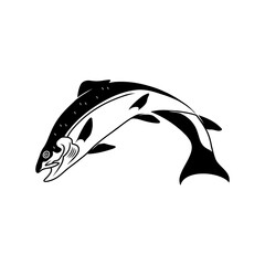 chinook  salmon 4.eps