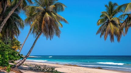 Fototapeta premium A vibrant tropical beach scene with palm trees and turquoise waters under a clear sky, Tropical beach scene, Exotic and leisurely style