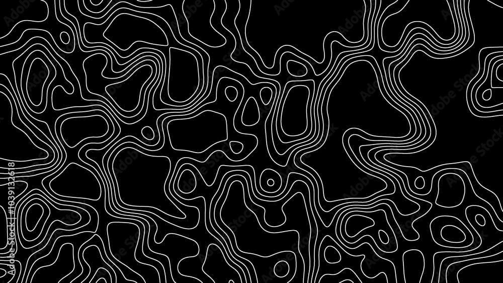 Wall mural Abstract Black and White Wavy Lines Background