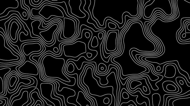 Topographic map background with white contour lines. Abstract geographic terrain animation on black. Minimalist topographic pattern for motion graphics.