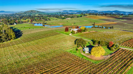 Autumn colours around a farmhouse in the vineyards near Yarra Glen