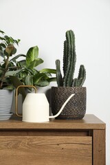 Watering can and beautiful houseplants on wooden chest of drawers indoors