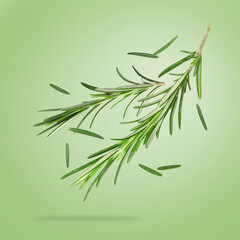 Naklejka premium Fresh rosemary in air on light green background