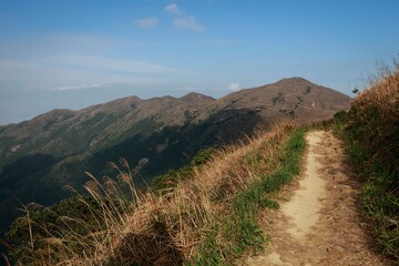 Mountain Trail on a Clear, Sunny Day with Blue Skies