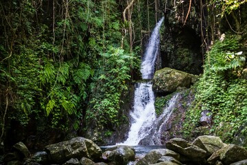 Serene Waterfall Cascading Through Lush Greenery in Forest, Ng Tung Chai, Tai Mo Shan, Hong Kong