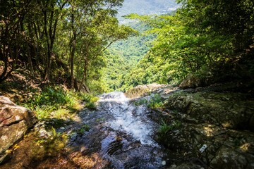 Rushing Waterfall Over Lush Green Forest Edge