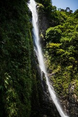 Obraz premium Lush Greenery Surrounding a Cascading Waterfall