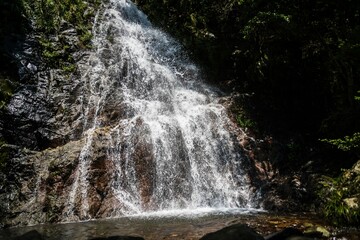 Serene Waterfall Cascading Through Lush Green Forest