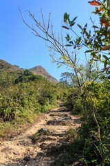 Scenic Pathway Through Rolling Hills Under Clear Blue Sky