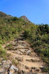  A Stone Stairway Ascends Through Lush Green Hills