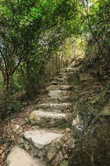 A Stone Stairway Ascends Through Lush Green Hills