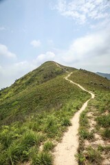 Naklejka premium Panoramic View from Kai Kung Leng, Hong Kong’s Scenic Hilltop