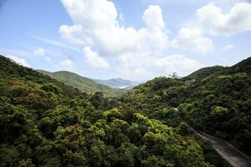 Lush Green Forested Hills Under a Bright Sky