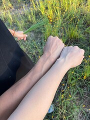 hand, grass, nature, hands, woman, plant, field, summer, people, spring, agriculture, child, foot, finger, touch, day, love, feet, outdoors, legs, outdoor, herb, care, beauty, garden