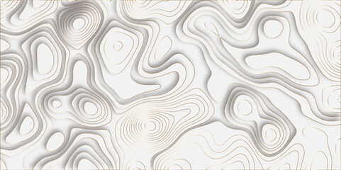 Abstract design with black and white abstract papercut and multi-layer cutout geometric pattern on vector Topographic canyon geometric map relief texture with curved layers beautiful design.	
