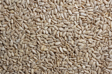 Peeled Sunflower Seeds Background: A Culinary Canvas of Shell-free Sunflower Seeds, Creating a Lively and Textured Background for Gourmet Cooking - Top View, Flat Lay