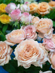 カラフルなバラの切り花