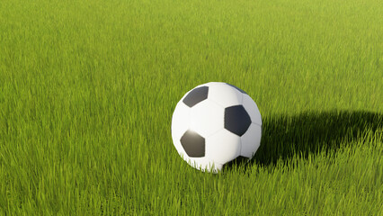 Fototapeta premium Closeup of soccer ball on textured green grass 