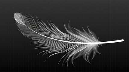 Obraz premium Elegant white feathers scattered gracefully on a sleek black background