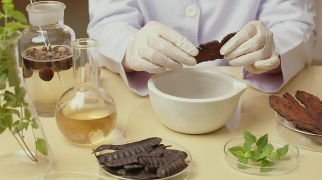A scientist break a dried herbs and places it in a white mortar in a template video shot in a laboratory with top perspectives. Glassware with liquids and herbs surrounds the scientist.