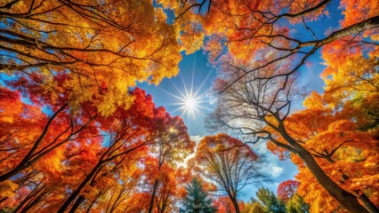 Vibrant autumn trees display colorful foliage against a clear blue sky, showcasing the beauty of nature in fall's scenic landscapes and seasonal transformations.