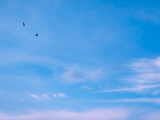 clouds in the sky