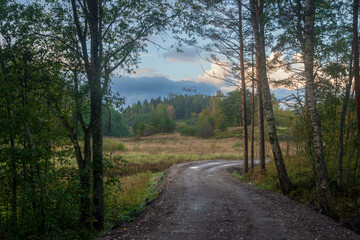 View of a country road through the autumn forest near the village of Lumivaara on a sunny autumn day, Ladoga Skerries, Lahdenpohya, Republic of Karelia, Russia