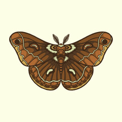 Moth Vector Illustration