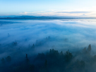 Early morning fog drifts through the Willamette Valley in West Linn, Oregon. This scenic area lies just south of the Pacific Northwest city of Portland.