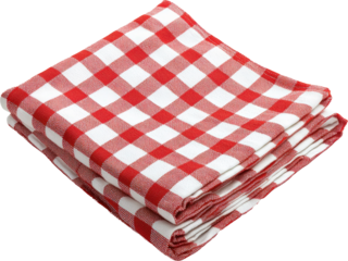 Red and white gingham tablecloth
