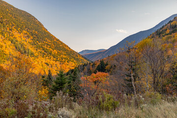 Fall colors in Crawford Notch