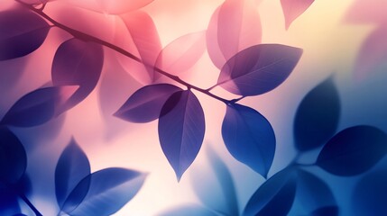 Abstract photo of blue leaves with a pink and yellow gradient background.
