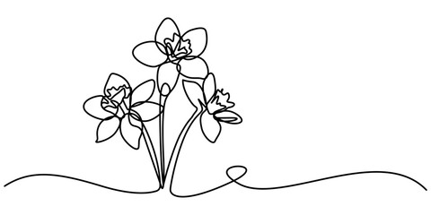 Orchid flower in continuous line art drawing style. Beautiful cattleya flowering plant black linear design isolated on white background. Vector illustration, Daffodil Flowers Single Line Drawing