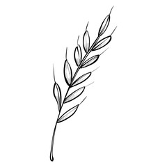 wheat handdrawn illustration