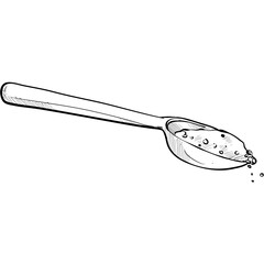 salt handdrawn illustration