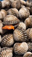 Clams in a restaurant. Seafood.