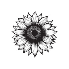 Hand-drawn set of sunflowers, flat minimalist black and white coloring page illustration of flower, adults and children vector sketch