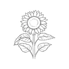 Fototapeta premium Sunflower Coloring Page for Adults