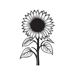 Sunflower flower outline illustration coloring book page design, Sunflower flower black and white line art drawing coloring book pages for children and adults
