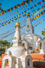 buddha stupa in nepal
