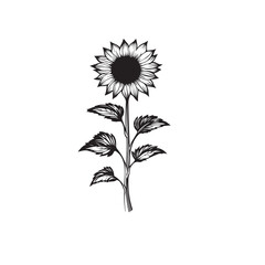 Sunflower flower outline illustration coloring book page design, Sunflower flower black and white line art drawing coloring book pages for children and adults