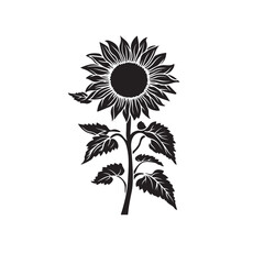 Sunflower flower vector black and white graphics isolated on a white background, linocut, realistic drawing, linear art. single sunflower