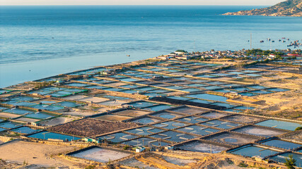 Aerial view of the prawn farm with aerator pump in front of Ninh Phuoc, Ninh Thuan, Vietnam. The growing aquaculture business continuously threatening the nearby wetlands. © Dong