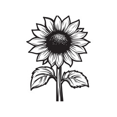 Sunflower flower outline illustration coloring book page design, Sunflower flower black and white line art drawing coloring book pages for children and adults